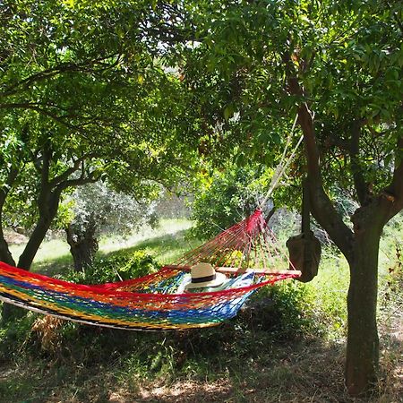Lithea Villas And Studios By The Sea Agios Petros  Room photo