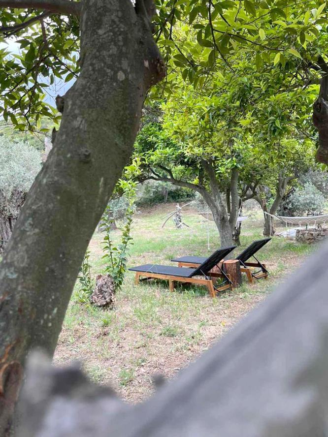 Lithea Villas And Studios By The Sea Agios Petros  Exterior photo