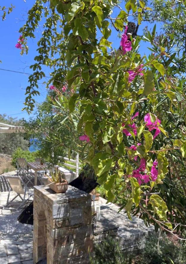Lithea Villas And Studios By The Sea Agios Petros  Exterior photo